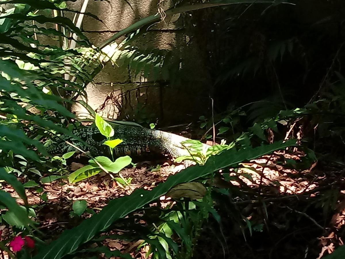 Casa Alquiler En Bombas Bombinhas Villa Kültér fotó